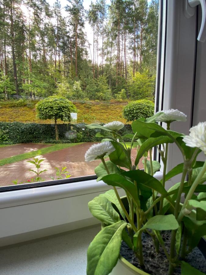 Lesny Apartament Ostrzyce Exteriör bild