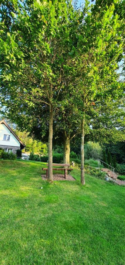 Lesny Apartament Ostrzyce Exteriör bild