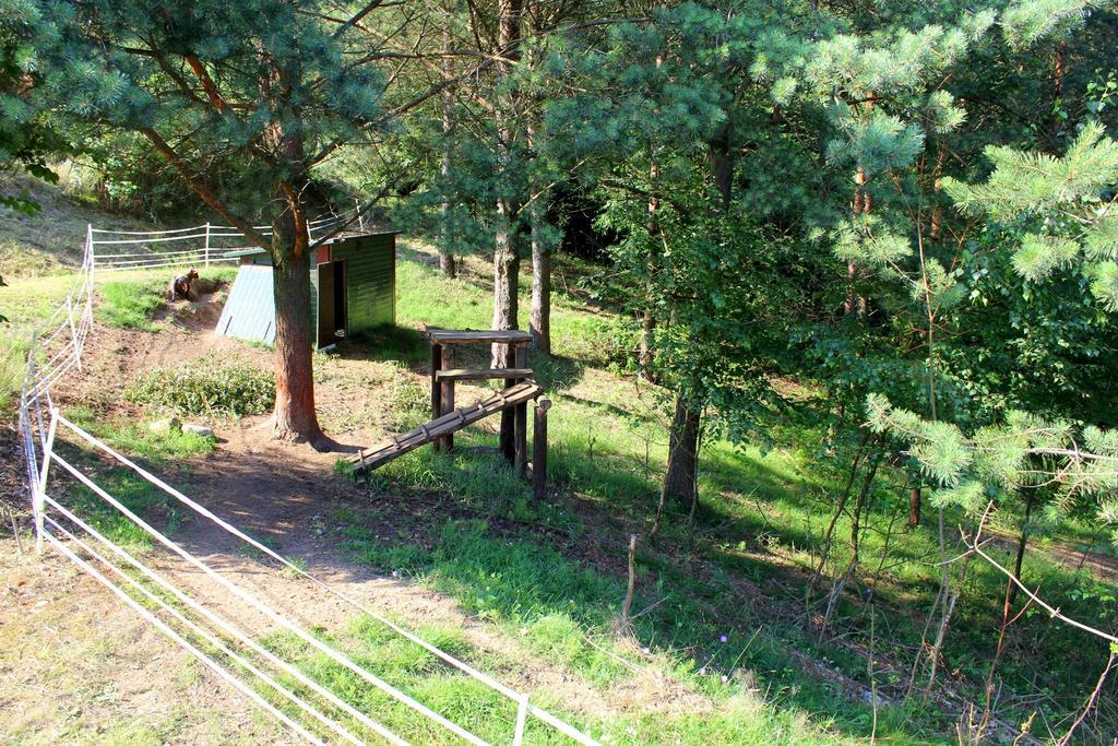 Lesny Apartament Ostrzyce Exteriör bild