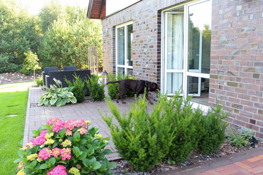 Lesny Apartament Ostrzyce Rum bild